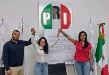 Basura electoral se convertirá en areneros para gatos, bolsas para el mercado o tapetes para perros