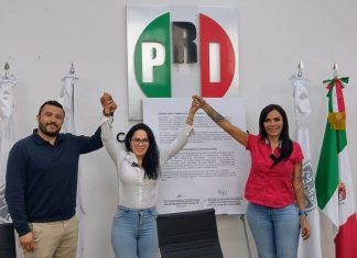 Basura electoral se convertirá en areneros para gatos, bolsas para el mercado o tapetes para perros