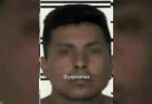 Detienen a «El Cindy», líder del Cártel de Tláhuac
