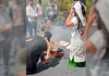 Senado se deslindó de sacrificio animal llevado a cabo como ofrenda
