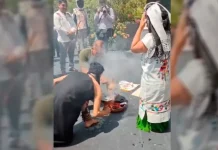 Senado se deslindó de sacrificio animal llevado a cabo como ofrenda