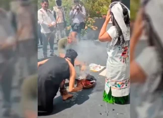 Senado se deslindó de sacrificio animal llevado a cabo como ofrenda