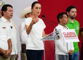 Yo Campesino / Pura palabrería