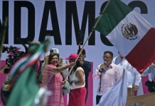 Yo Campesino / Por México