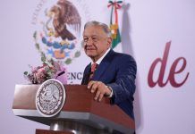Yo Campesino / Desvergonzado