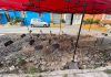 Mil 962 millones de pesos a Izcalli, para acabar con calles rotas, oscuras, sin agua, drenaje… ofrece Daniel Serrano