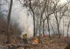 Combaten incendio forestal que ha consumido más de 500 hectáreas en Morelos
