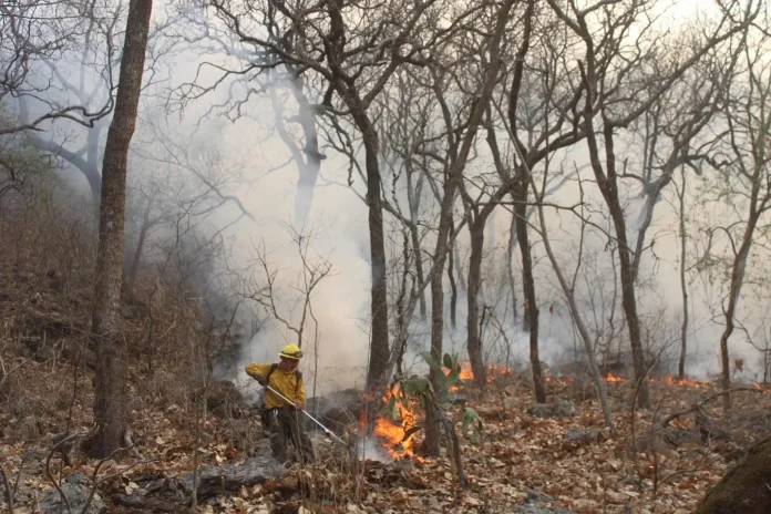 combate-a-incendio-forestal-en-morelos