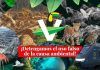 De la Ciudad / PVEM: ¡Falso, corrupto, nepotista y…!