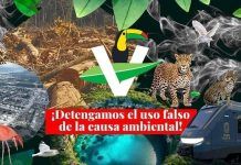 De la Ciudad / PVEM: ¡Falso, corrupto, nepotista y…!