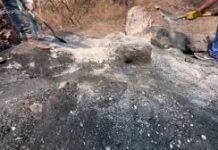 Se Comenta Solo Con / Ni Las Tumbas Descansan