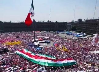 Marea Rosa la mayor concentración ciudadana en la historia de México