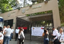 Yo Campesino / ¿A la medida de quién?