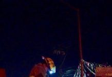 Vuelca Pipa con Casi Cinco mil Litros de Gas LP; no Hubo Daños
