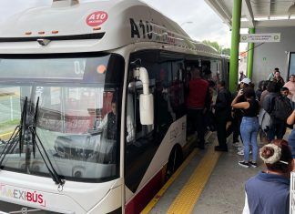 Miles de Tecamaquenses se Beneficiarán con el Transbordo Gratuito en Mexibús