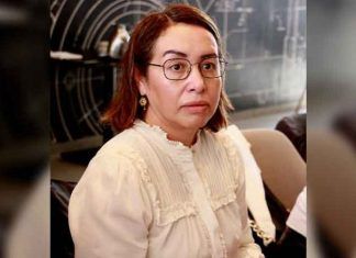 Artículo / ¿Crimen organizado controla Edomex?