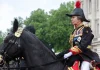 La princesa Ana, fue hospitalizada por traumatismo en la cabeza tras ser golpeada por un caballo