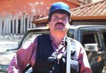 Yo Campesino / Captura, no, entrega
