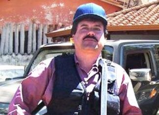 Yo Campesino / Captura, no, entrega