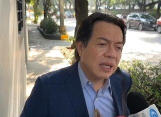 Método mixto para renovar dirigencia nacional de Morena: Mario Delgado