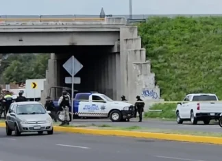 Suman 40 policías asesinados en Guanajuato en lo que de 2024