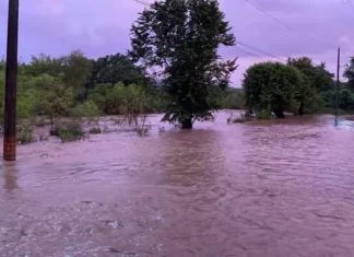 Emiten alerta en Veracruz por crecida de ríos derivado de fuertes lluvias