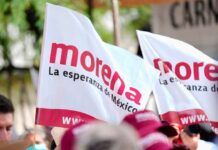 Yo Campesino / Los dineros