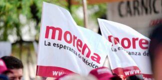 Yo Campesino / Los dineros