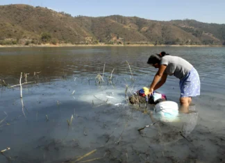 Yo Campesino / Pagarán caro