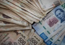 Yo Campesino / Peso financiero