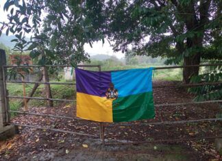 La comunidad indígena de San juan Huizontla, Michoacán, exigen la devolución de aus tierras