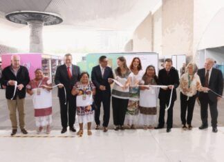 Homo Espacios / Transición cultural, Medallas Bellas Artes… y otras notas