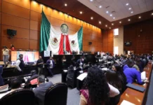 VisiónMX / PEF25, Panorama Complejo