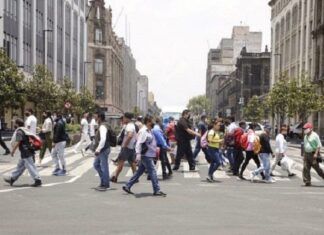 Artículo / ¡Peatones: ignorados y desprotegidos!
