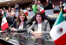 Presidirá Mariela Gutiérrez la Comisión de Zonas Metropolitanas y Movilidad en el Senado de la República