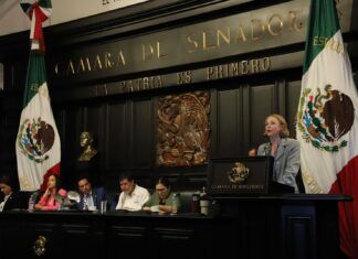 Acudirá la Senadora Laura Itzel a Festejos por 50 años del PMT