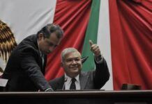 Poder Público / Se estrena Magaña de la Mora como legislador deberá aprender a tejer fino