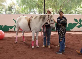 Cuenta DIF de Tecámac con Programa de Equinoterapia