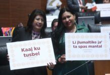 La reforma en materia de derechos indígenas, gran paso para saldar deuda histórica: Mariela Gutiérrez
