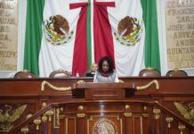 Propone diputada ecologista Rebeca Peralta crear la figura de Personas Defensoras del Medio Ambiente