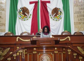 Propone diputada ecologista Rebeca Peralta crear la figura de Personas Defensoras del Medio Ambiente