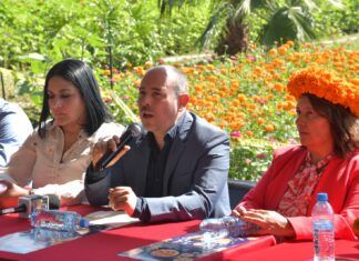 Poder Público / Memo va con todo en Irimbo