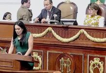 Necesario fortalecer las instituciones de seguridad: Silvia Sánchez