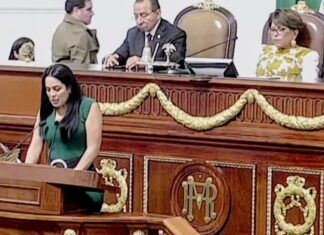 Necesario fortalecer las instituciones de seguridad: Silvia Sánchez