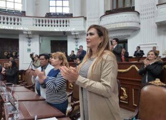 PT llama a las alcaldías a hacer censo de árboles en peligro de caer y podarlos