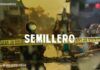 Semillero
