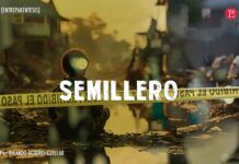 Semillero