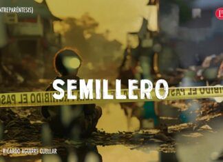 Semillero