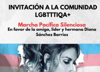La comunidad LGBTTIQA+ invita a la marcha por la salud de Diana Sánchez Barrios