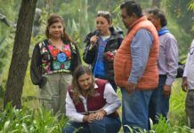 Inician Parques Alegría en Parque Tezozómoc